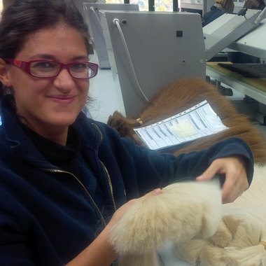 Ständige Verbesserung der Qualität nun auch von außen kontrolliert (&copy; Great Lengths)