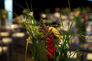 Export Preis - WKO - Silber für Great Lengths:  (&copy; &copy; Frank Helmrich für WKO, AW)