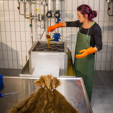 Das Haar wird sanft, aber dauerhaft gefärbt:  (&copy; &copy; Great Lengths)