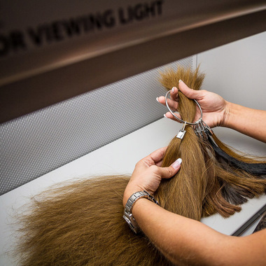 Kontrolle der Farbe mit dem Farbring:  (&copy; &copy; Great Lengths)