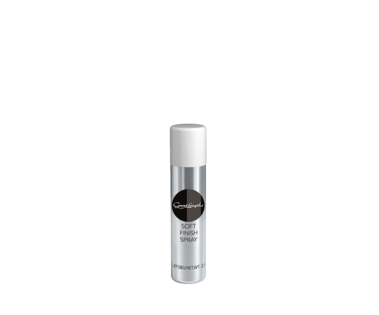 SOFT FINISH SPRAY  (&copy; Great Lengths)