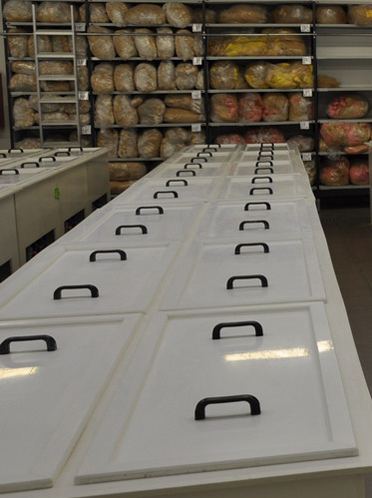 Bis zu 20 Tage kann der De-Pigmentierungsprozess dauern