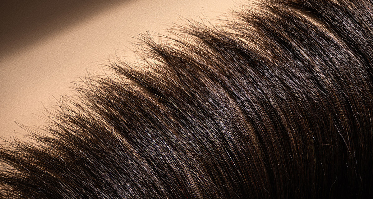 GL Tapes - Fantastischer Natural Cut (&copy; Great Lengths)